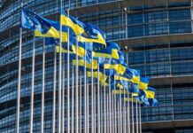 Европа и Украина готовят предложение по прекращению войны с РФ, которое предусматривает переговоры об управлении ВОТ — СМИ