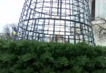 В Киеве начали установку главной елки страны. ВИДЕО