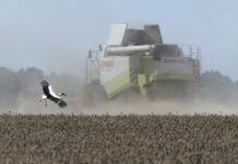 Фермер из Херсонской области первым получил почти 5 млн грн компенсации за разминирование