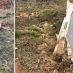 «Шахеды» теперь могут нести ракеты: ВИДЕО ликвидации такого БпЛА