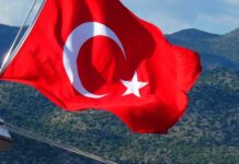 МИД Турции: Подчеркиваем важность прекращения атак, направленных против портовой инфраструктуры сторон, — СМИ