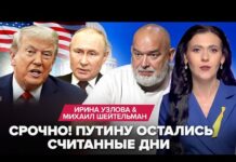 Куда делся «бункерный»? Политтехнолог объяснил, почему Путин перестал выходить на связь