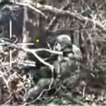 На Покровском направлении украинские операторы дронов поразили оккупанта в чащах