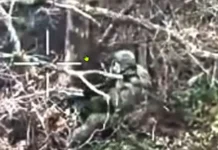 На Покровском направлении украинские операторы дронов поразили оккупанта в чащах