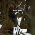 Россияне продвинулись возле Шахского и давят на оборону возле Константиновки