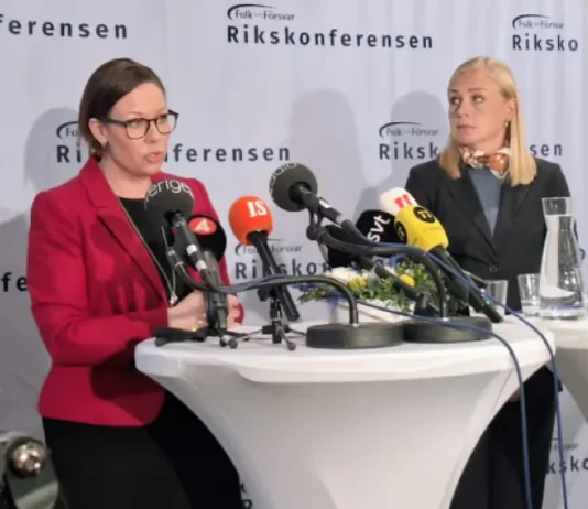 Пошлины на все российские товары: Финляндия и Швеция выдвинули предложение в ЕС