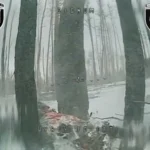 «Разбивает штурмовые группы об оборону»: вблизи Лимана фиксируют катастрофический уровень потерь врага