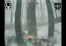 «Разбивает штурмовые группы об оборону»: вблизи Лимана фиксируют катастрофический уровень потерь врага