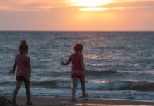 Забруднення Азовського моря посилилося: що до цього призвело та як це загрожує Криму?