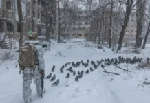 Последний вздох империи: для ВСУ в 2026-м может открыться стратегическое окно возможностей