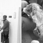 В Одессе мужчину избили в ТЦК, забрали собаку — военкомат и родственники дают разные версии