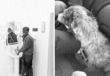 В Одессе мужчину избили в ТЦК, забрали собаку — военкомат и родственники дают разные версии