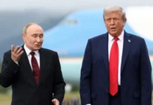 Золотые горы или мышеловка: стало известно, что Россия обещала Трампу на Аляске