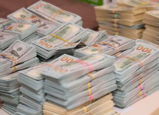 И.о. главы Госэкоинспекции заявил, что нашел $653 000 в гараже бабушки. Его проверит ГБР