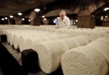 Европейские сыры не пострадают: Китай значительно уменьшил пошлины на некоторую молочку из ЕС