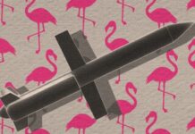 Кримські цілі «Фламінго»: по яких російських об’єктах може вдарити Україна новими ракетами