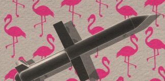 Кримські цілі «Фламінго»: по яких російських об’єктах може вдарити Україна новими ракетами