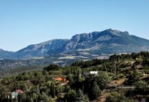 «Земельний атракціон нечуваної щедрості»: кому російська влада Криму передаватиме землю без торгів