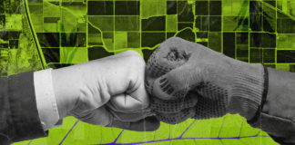 Финансирование для агросектора. Как украинским компаниям получить инвестиции от фонда Food4Impact