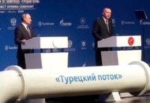 «Турецький» і «Блакитний» потоки в Чорному морі під загрозою? Як заява Путіна пов’язана з Кримом і мирними переговорами