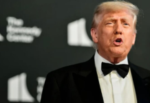 Вместо поддержки Токио Трамп позвонил Пекину — союзники сделали выводы