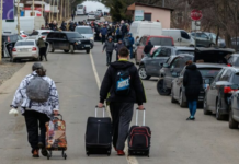 Выплаты украинцам в Германии под угрозой: как изменятся правила с 1 июля