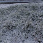 У Криму очікуються заморозки: оголошено екстрене попередження