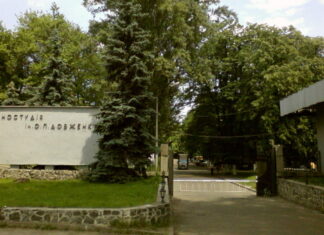 Кабмин поможет погасить долги киностудии Довженко