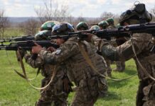 «Выйдем на публику через пару недель». Свириденко – о повышении зарплаты военным