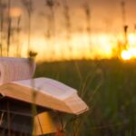 В США и Британии растет популярность книжных ретритов: люди платят по $1000