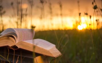 В США и Британии растет популярность книжных ретритов: люди платят по $1000