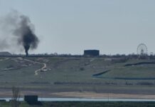 Кримський сафарі-парк «Тайган» став екологічно небезпечним об’єктом – еколог