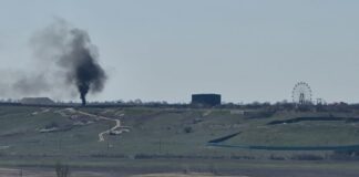 Кримський сафарі-парк «Тайган» став екологічно небезпечним об’єктом – еколог