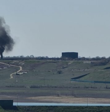 Кримський сафарі-парк «Тайган» став екологічно небезпечним об’єктом – еколог