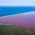 Російська влада вирішила закрити доступ до заповідників Керченського півострова