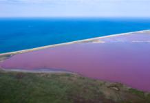 Російська влада вирішила закрити доступ до заповідників Керченського півострова