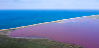 Російська влада вирішила закрити доступ до заповідників Керченського півострова