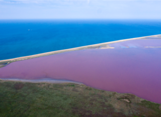 Російська влада вирішила закрити доступ до заповідників Керченського півострова