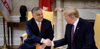 «Трамп — это риск»: европейские союзники США в панике из-за провала Орбана