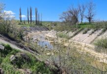 Одна з головних річок Криму майже зневоднена – краєзнавець