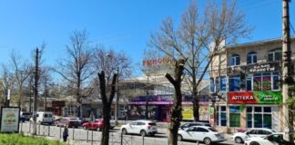 «Біда з лісосмугами» в Криму посилюється – екологи