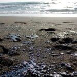 Мазут знову на пляжах: чому російська влада Криму замовчує екологічну проблему