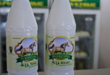 Кумис уже не той? Що не так із популярним продуктом кримської агрофірми