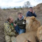 «Це жорстоке поводження з тваринами» – зоозахисники про випуск левів у «савану» сафарі-парку «Тайган»