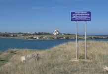 Забудова дикого пляжу та некрополя: хто відбирає море та стародавності у севастопольців?