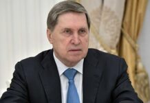 У Путина заявили о паузе в переговорах с США и Украиной: сроки не назвали