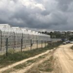 В анексованому Криму могла бути припинена робота найбільшого тепличного виробництва