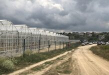 В анексованому Криму могла бути припинена робота найбільшого тепличного виробництва
