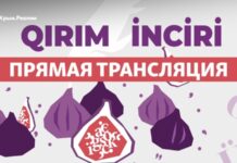 У Києві оголосять переможців літературного конкурсу «Кримський інжир»