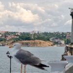 Російська влада обіцяє закрити морський шлях українським БпЛА до Севастополя. Чи реально це?
